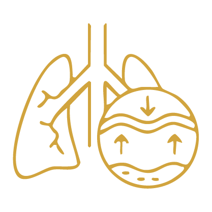 Chest & Pulmonary Rehab - The Wisdom Club