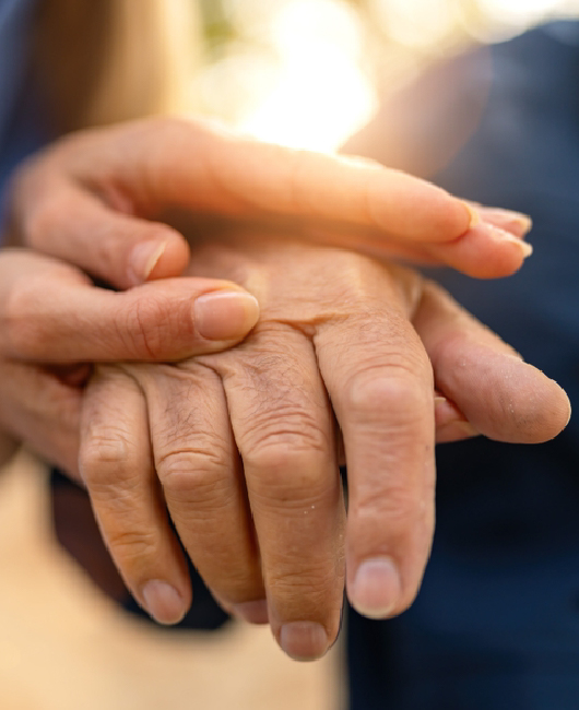 Blogs - The Wisdom Club